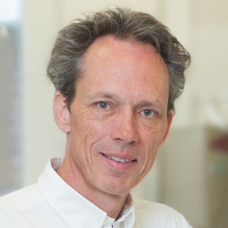 Prof. Dr. Stephan Baumgartner
